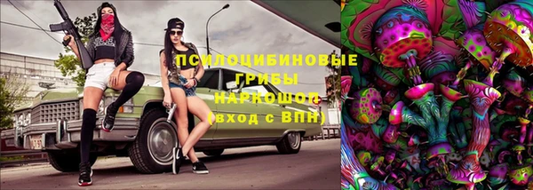 стафф Абинск