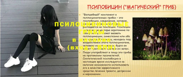 стафф Абинск